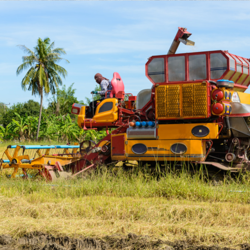 Small Hillside Harvester